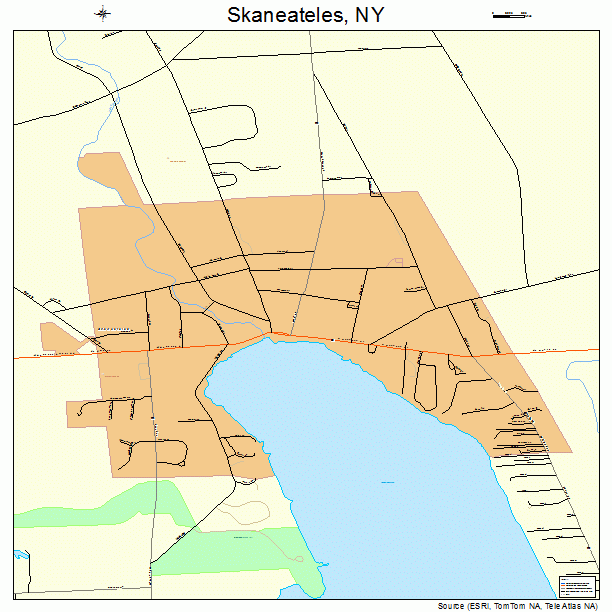 Skaneateles, NY street map