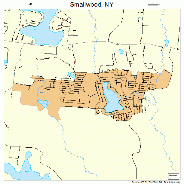 Smallwood, NY street map