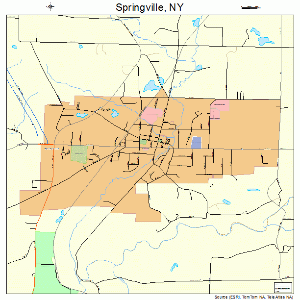 Springville, NY street map