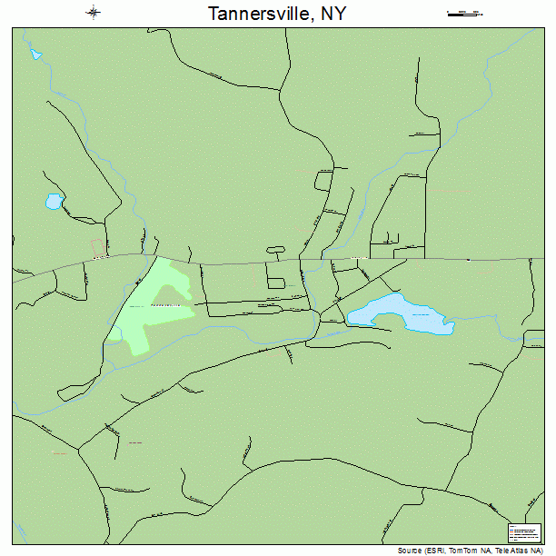 Tannersville, NY street map