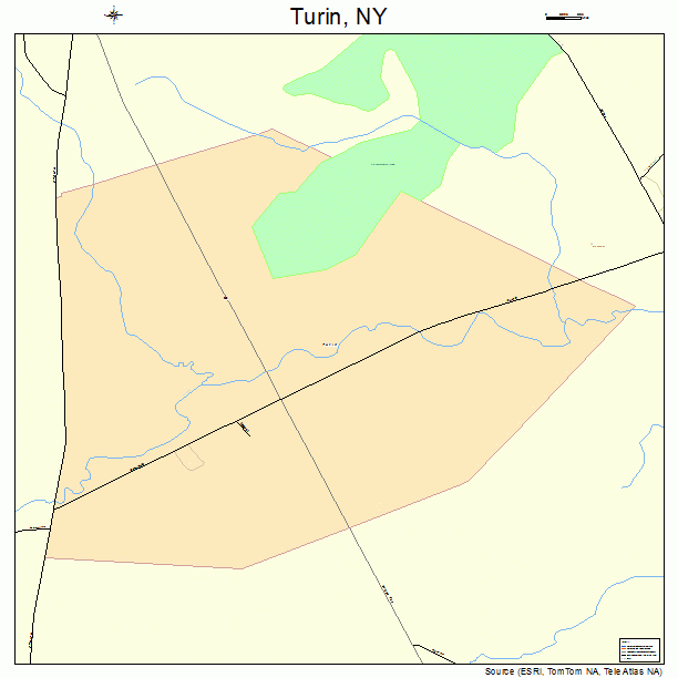 Turin, NY street map