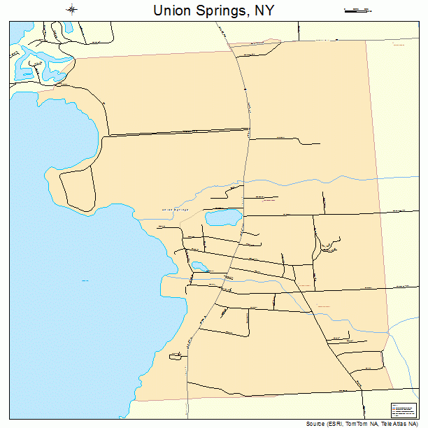 Union Springs, NY street map