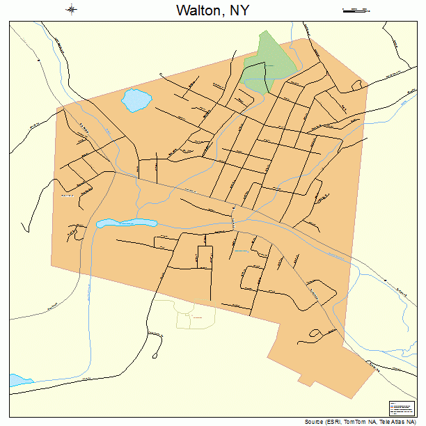 Walton, NY street map