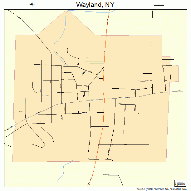 Wayland, NY street map