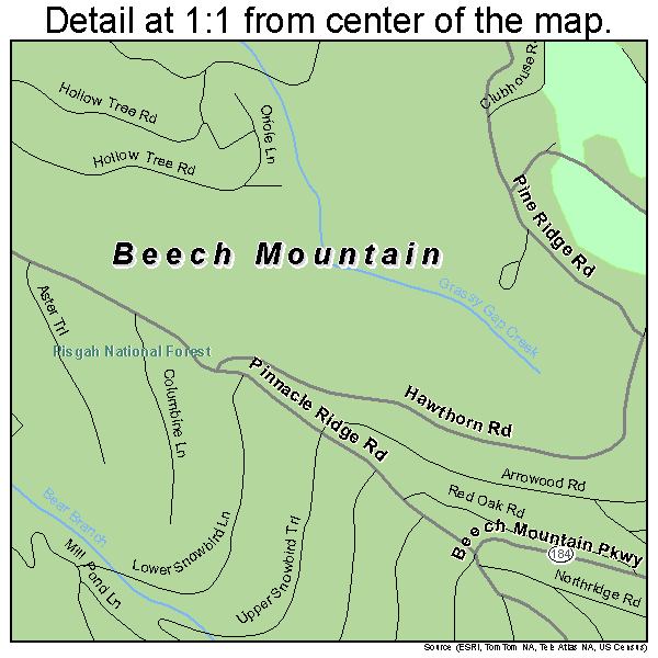 Beech Mountain, North Carolina road map detail