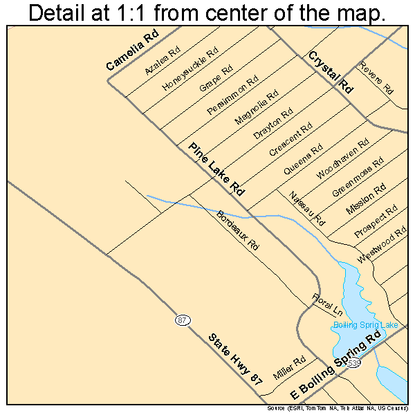 Boiling Spring Lakes, North Carolina road map detail