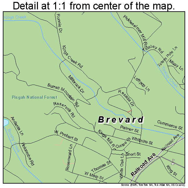 Brevard, North Carolina road map detail