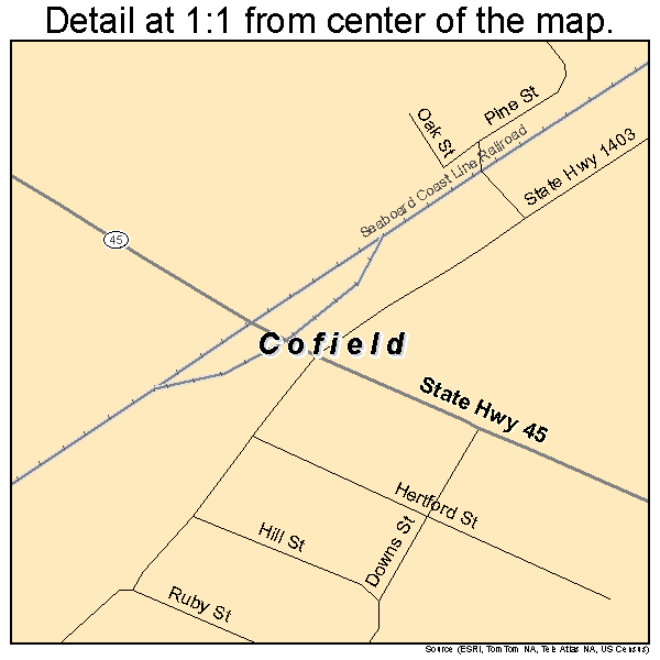 Cofield, North Carolina road map detail