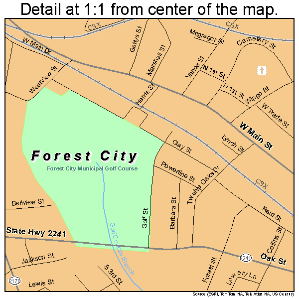 Forest City, North Carolina road map detail