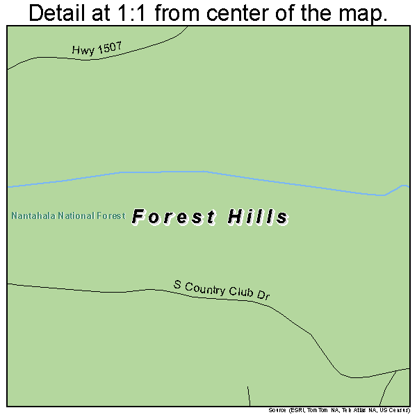 Forest Hills, North Carolina road map detail