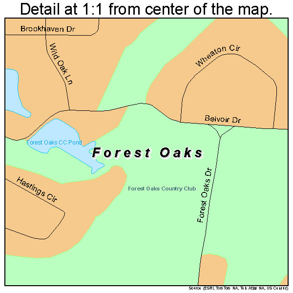 Forest Oaks, North Carolina road map detail