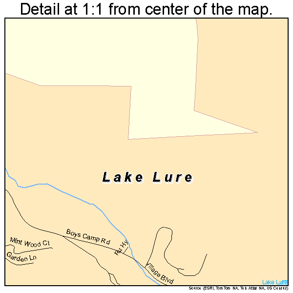 Lake Lure, North Carolina road map detail