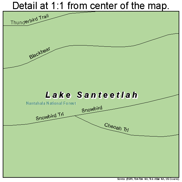 Lake Santeetlah, North Carolina road map detail
