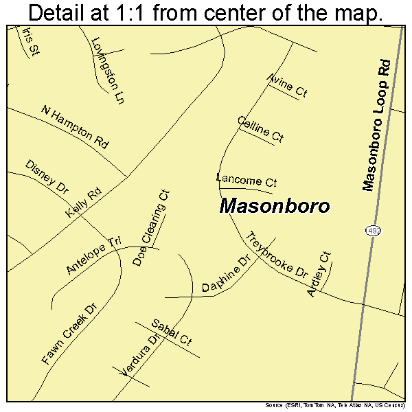 Masonboro, North Carolina road map detail