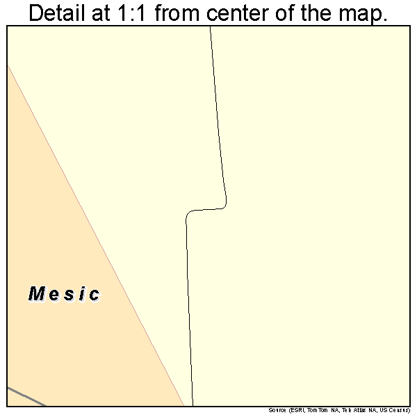 Mesic, North Carolina road map detail