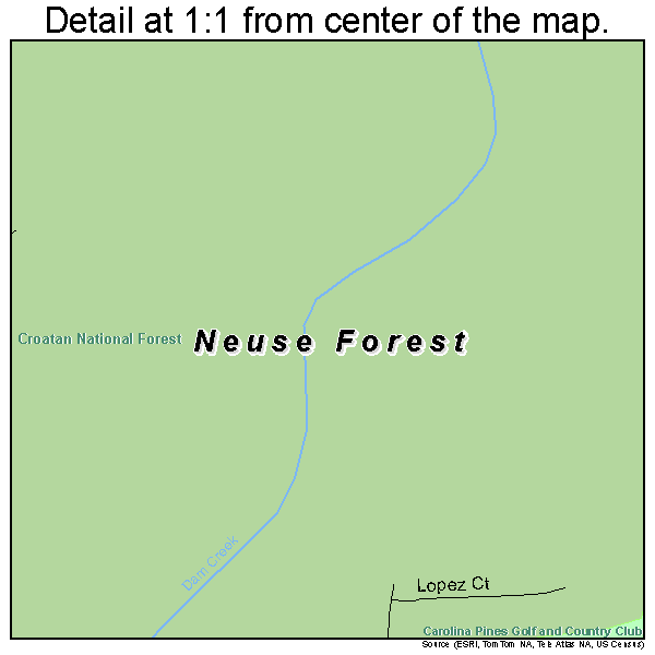 Neuse Forest, North Carolina road map detail