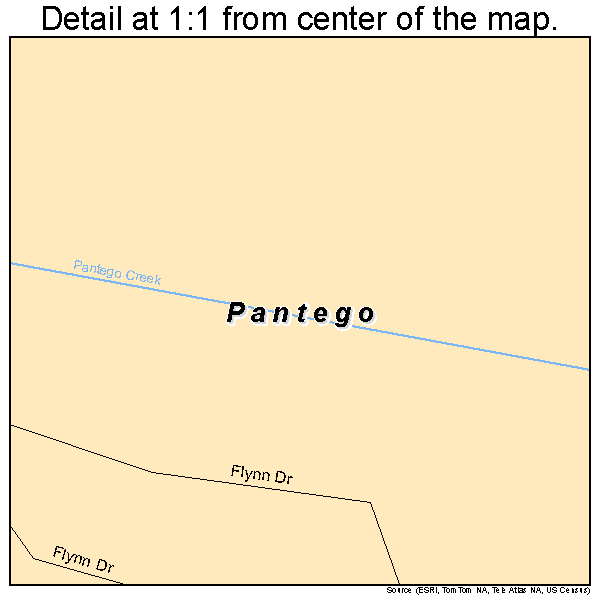 Pantego, North Carolina road map detail