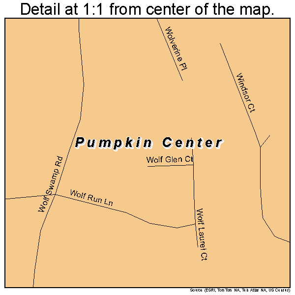 Pumpkin Center, North Carolina road map detail