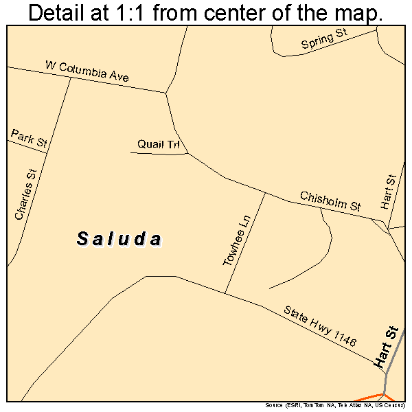 Saluda, North Carolina road map detail