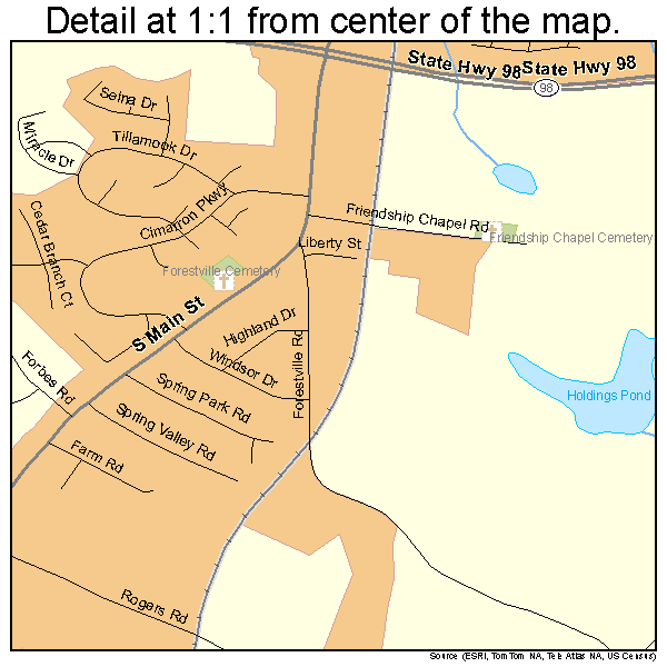 Wake Forest, North Carolina road map detail