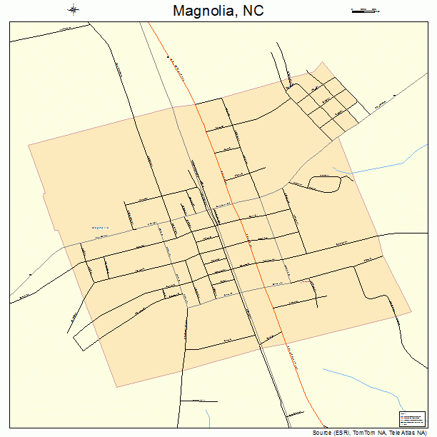 Magnolia, NC street map
