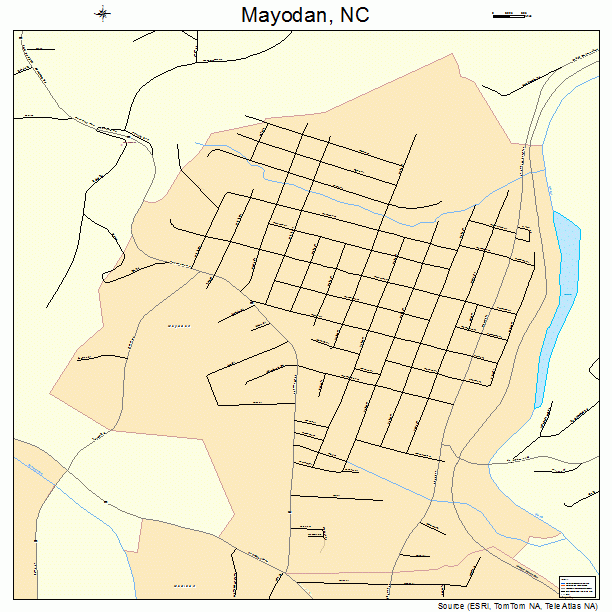 Mayodan, NC street map