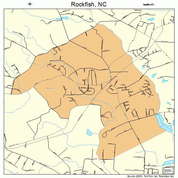 Rockfish, NC street map
