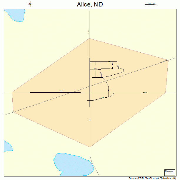 Alice, ND street map