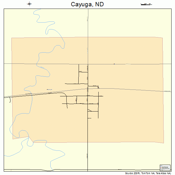 Cayuga, ND street map