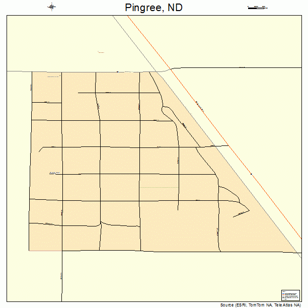 Pingree, ND street map