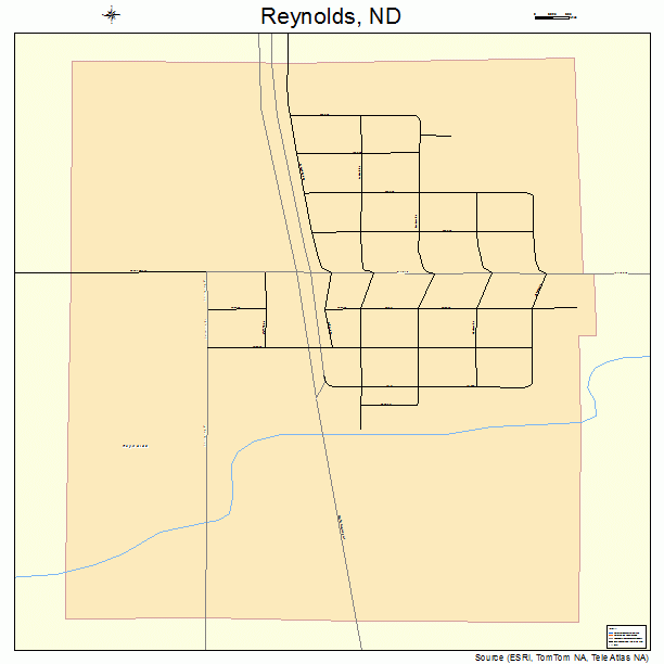 Reynolds, ND street map