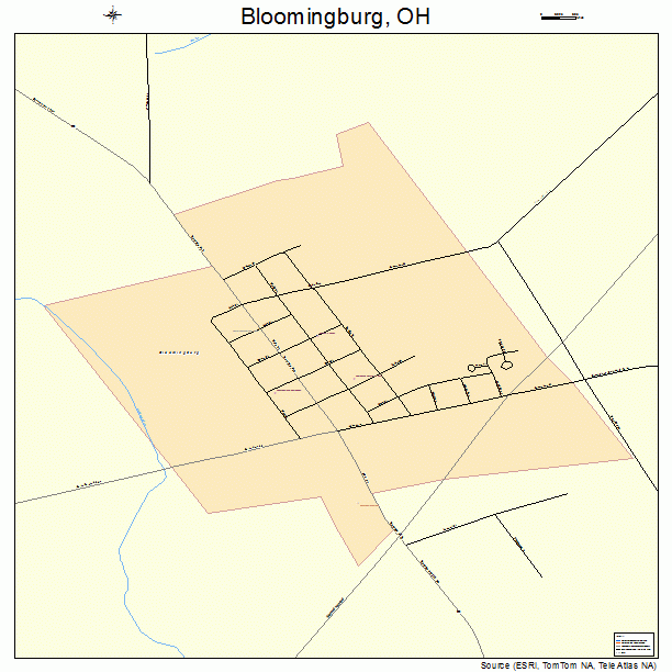 Bloomingburg, OH street map