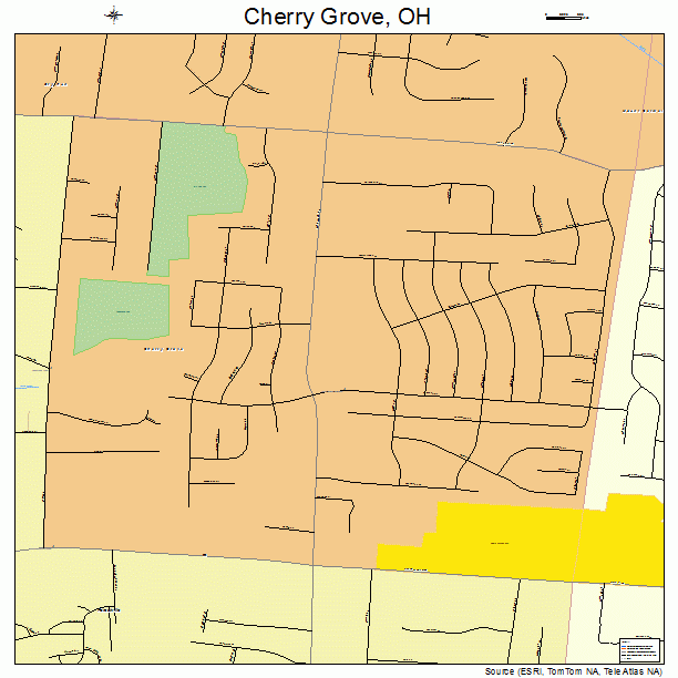 Cherry Grove, OH street map