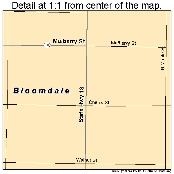 Bloomdale, Ohio road map detail