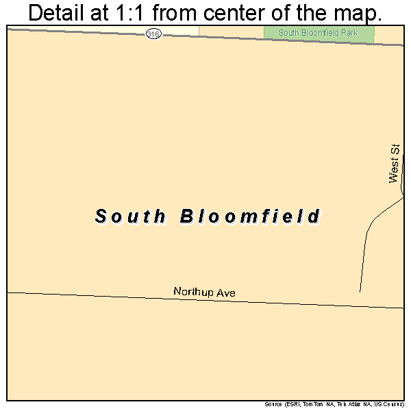 South Bloomfield, Ohio road map detail