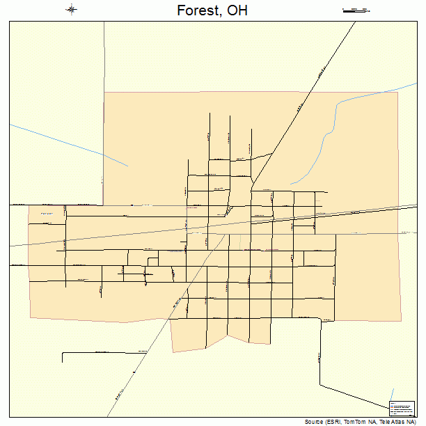 Forest, OH street map