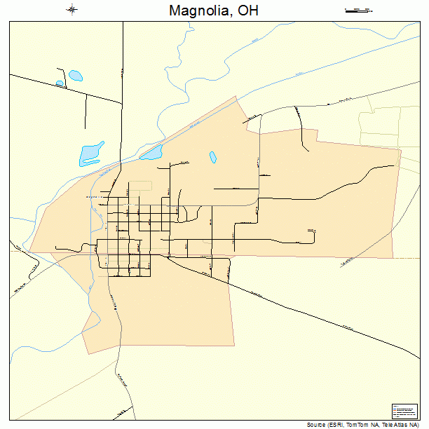 Magnolia, OH street map