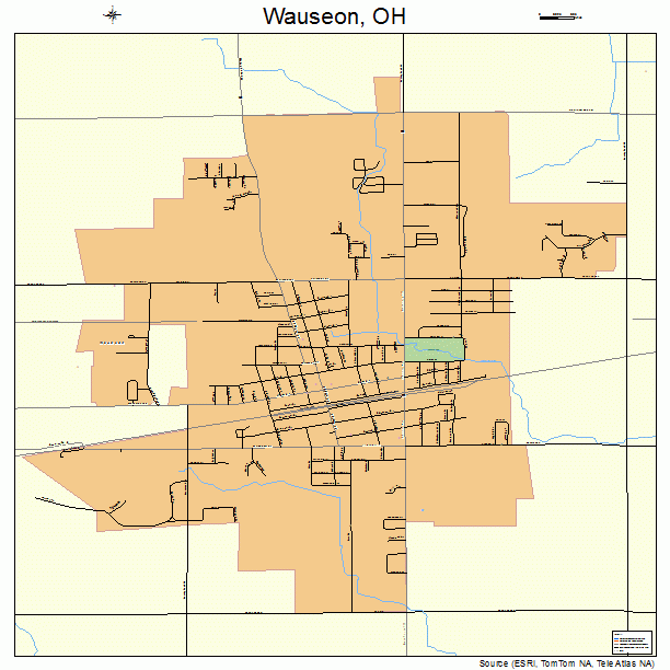 Wauseon, OH street map