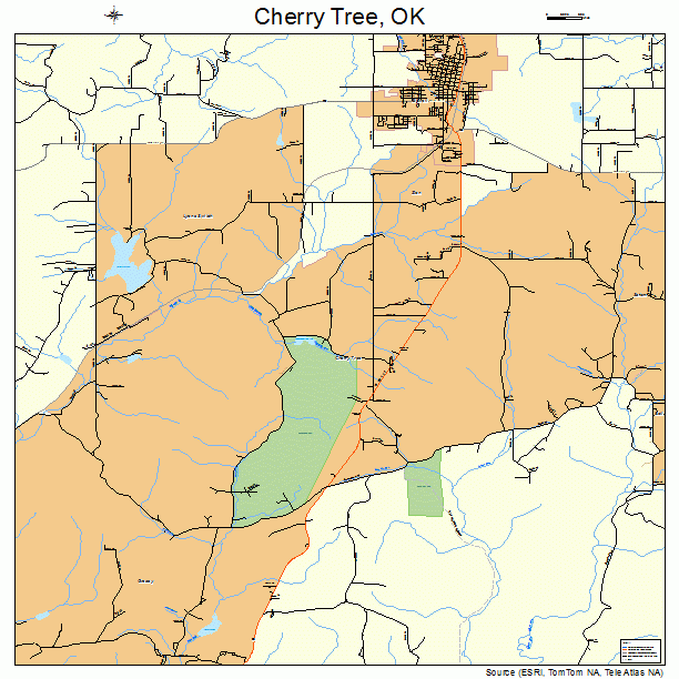 Cherry Tree, OK street map