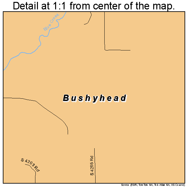 Bushyhead, Oklahoma road map detail
