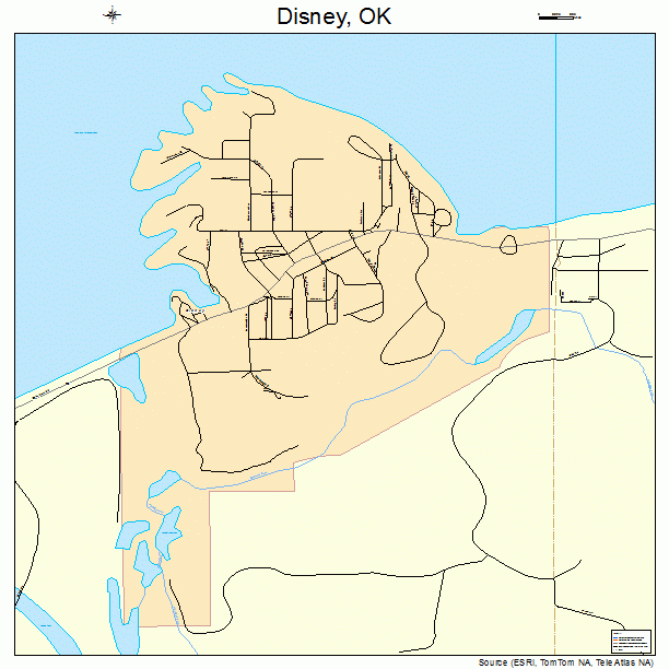 Disney, OK street map