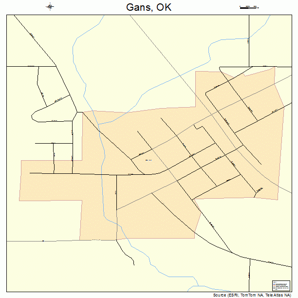 Gans, OK street map