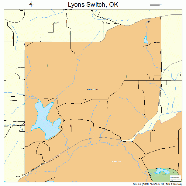 Lyons Switch, OK street map