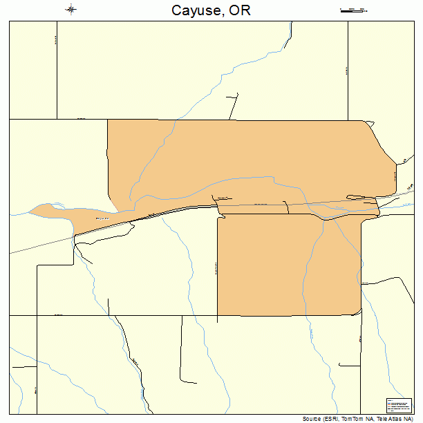 Cayuse, OR street map