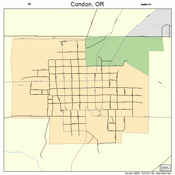 Condon, OR street map