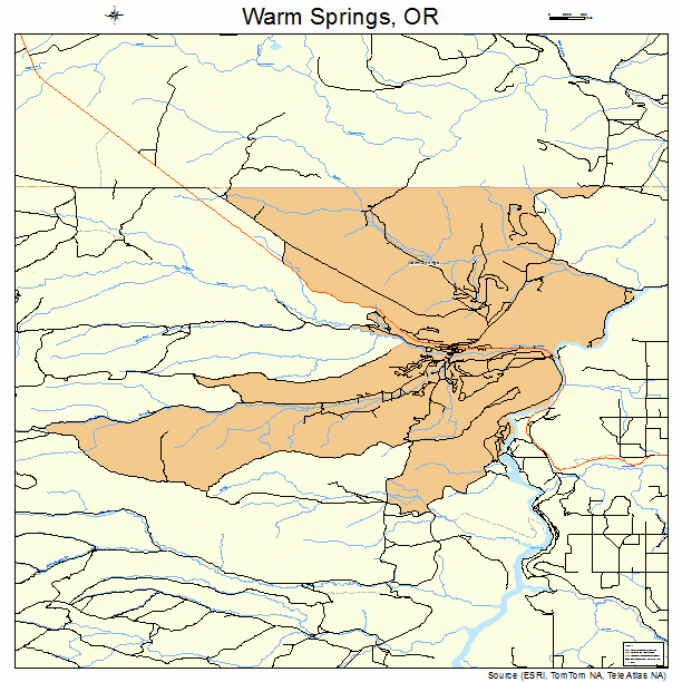 Warm Springs Oregon Street Map 4178600