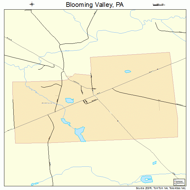 Blooming Valley, PA street map