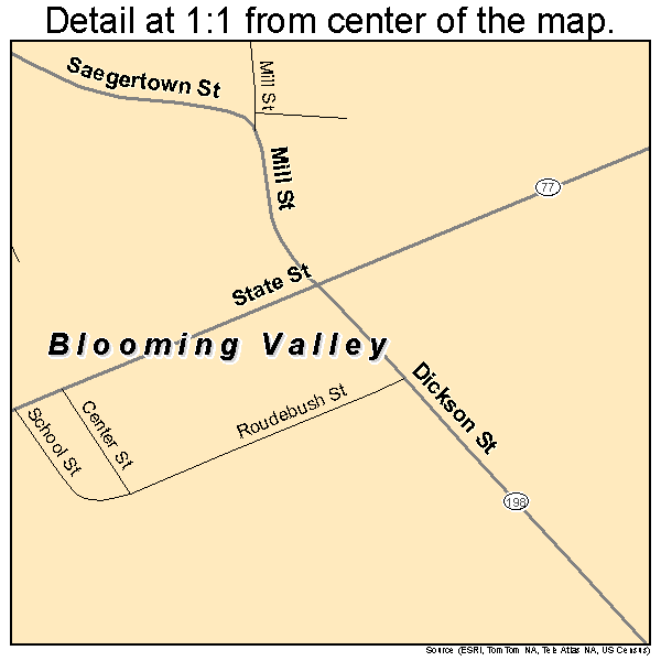 Blooming Valley, Pennsylvania road map detail