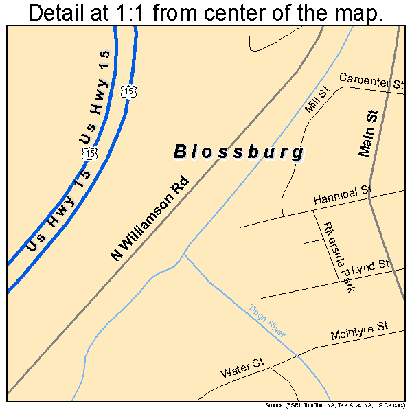Blossburg, Pennsylvania road map detail