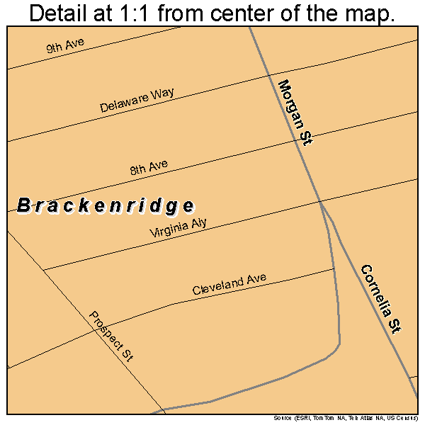 Brackenridge, Pennsylvania road map detail